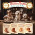 Dolci Impronte – Fatti a Mano – Maldamore -  Biscotti Frolla con Carruba - 250 gr