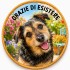 Dolci Impronte | Love Portrait Your Dog's Photo on a Biscuit 42g