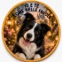 Dolci Impronte | Love Portrait Your Dog's Photo on a Biscuit 42g