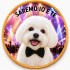 Dolci Impronte | Love Portrait Your Dog's Photo on a Biscuit 42g