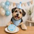 Dolci Impronte | Birthday Round Cake Blue 100 g