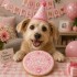 Dolci Impronte |  Birthday Round Cake Rosa 100 gr
