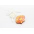 Dolci Impronte® - Conchiglia - Confezione 3 Pezzi - 120gr