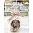 Dolci Impronte® - Biscotti Stelle - 4 Confezioni da 150gr cad