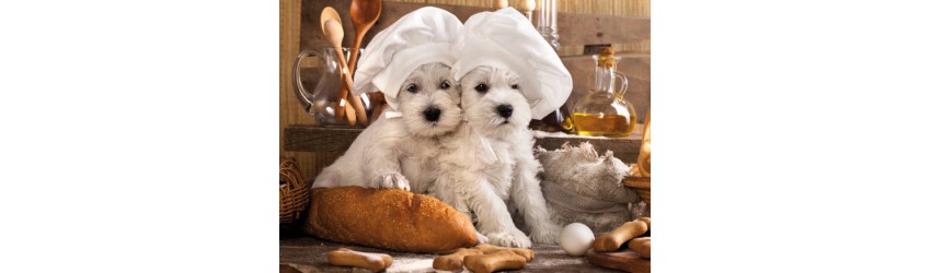 Dolci Impronte® -Italian Pets' Bakery